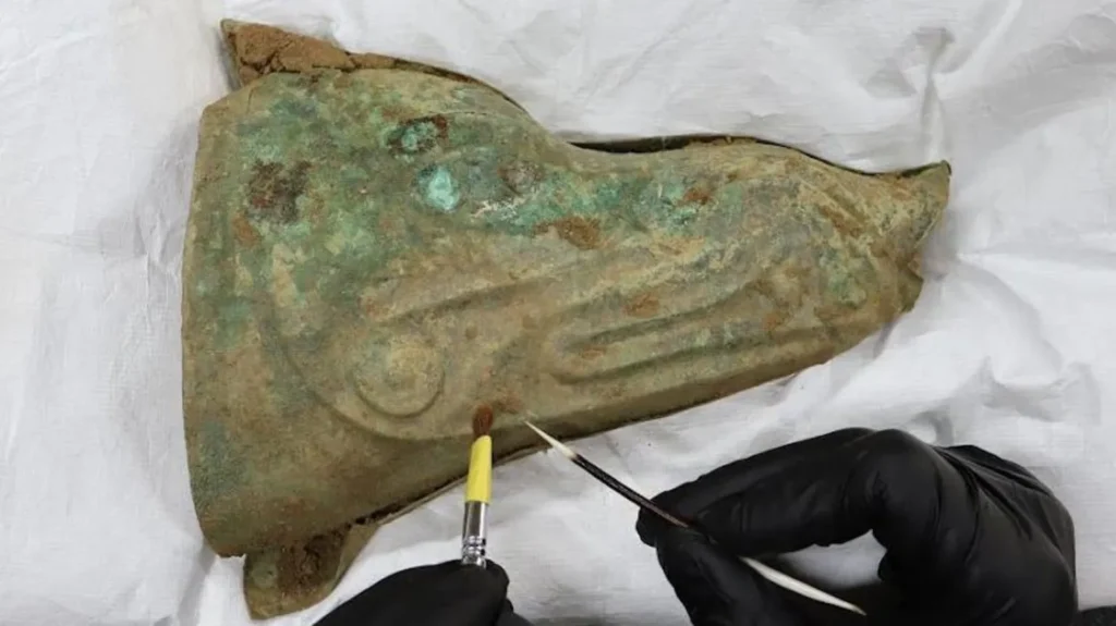 
The boar’s head standard, crafted from exceptionally thin sheets of bronze, was discovered alongside the carnyx and is considered even rarer than the musical instrument itself. Likely carried aloft as a battlefield emblem and rallying symbol for Iron Age warriors, the piece survives in remarkable condition after more than 2,000 years underground. Credit: Norfolk Museums Service.