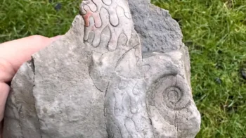 The fossil was found in the White Peak. Credit: National Trust