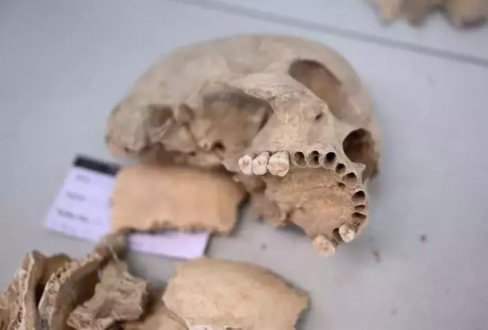 By analyzing ancient DNA, researchers are reconstructing kinship patterns, mobility, and population dynamics over thousands of years. Credit: AA