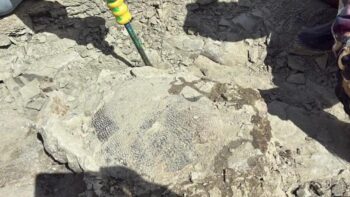 A close-up shows the fossilized turtle shell on BLM-managed land during excavation. Credit: Craig Thomas, BLM Rock Springs Field Office