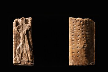 The Adorant figurine from Geißenklösterle Cave, approximately 40,000 years old, consists of a small ivory plate bearing an anthropomorphic figure and multiple sequences of notches and dots. The application of these marks suggests a notational system, most notably in the rows of dots on the back of the plate. Credit: Landesmuseum Württemberg / Hendrik Zwietasch, CC BY 4.0