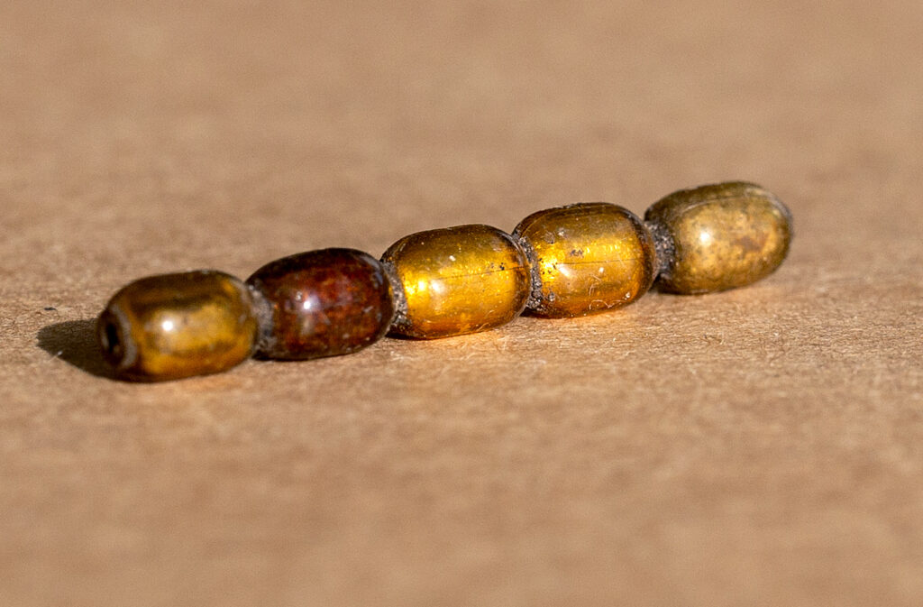 Gold-foil bead measuring 2.7 cm in length and 3.5 mm in diameter, originating from the Levant and discovered at the Hedegård Iron Age site. Credit: Museum Midtjylland Via Facebook