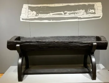 Contemporary view of the Princess of Bagicz’s oak log coffin exhibited in Poland. Credit: Chmiel-Chrzanowska et al., Archaeometry (2026).