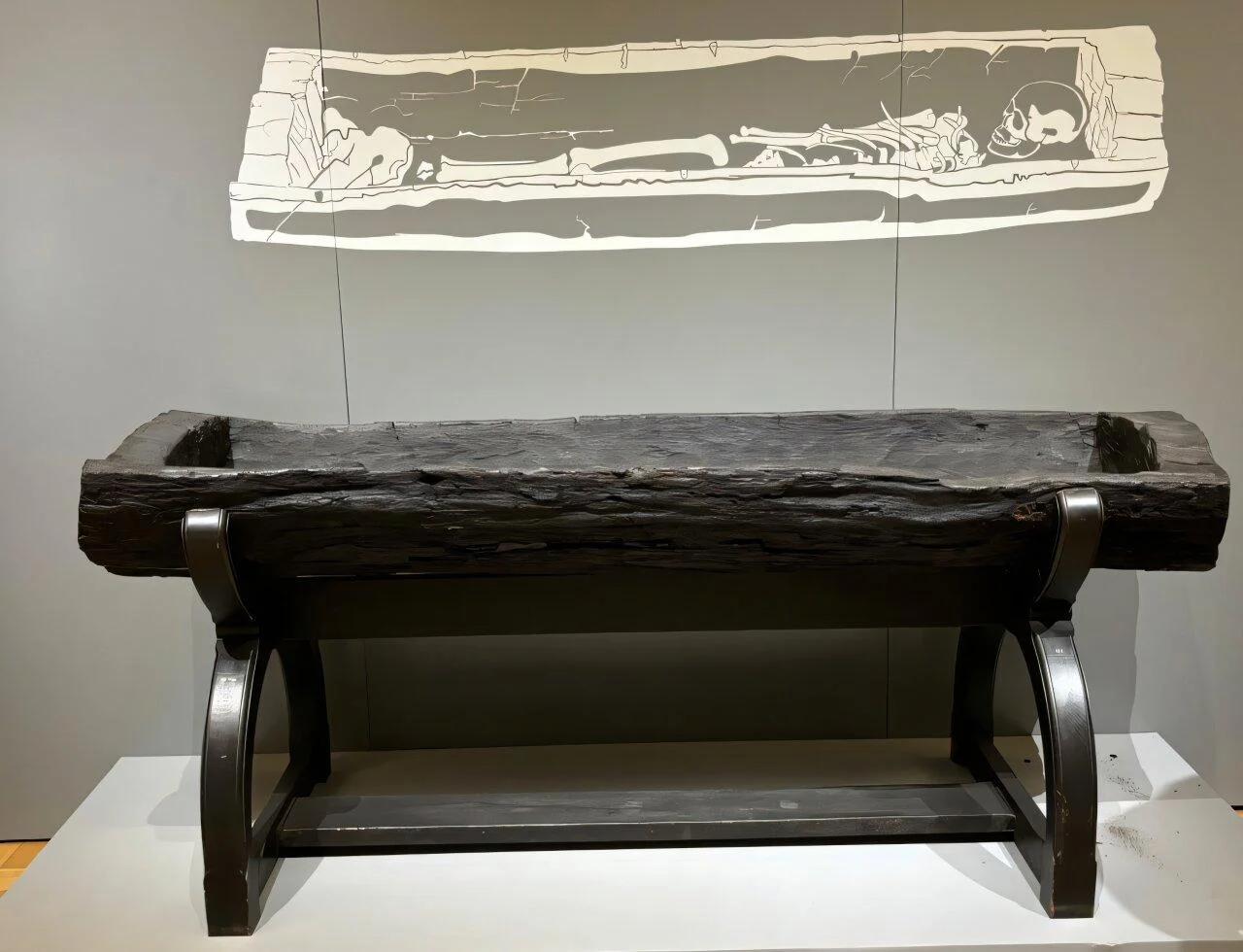 Contemporary view of the Princess of Bagicz’s oak log coffin exhibited in Poland. Credit: Chmiel-Chrzanowska et al., Archaeometry (2026).