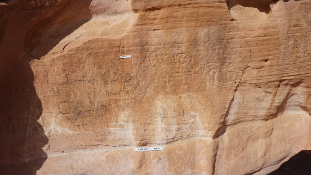 The 5,000-year-old inscription in Wadi Khamila, shown without tracing. Egyptologist Prof. Dr. Ludwig Morenz of the University of Bonn interprets it as a declaration of ancient Egyptian colonial dominance. Credit: M. Nour El-Din