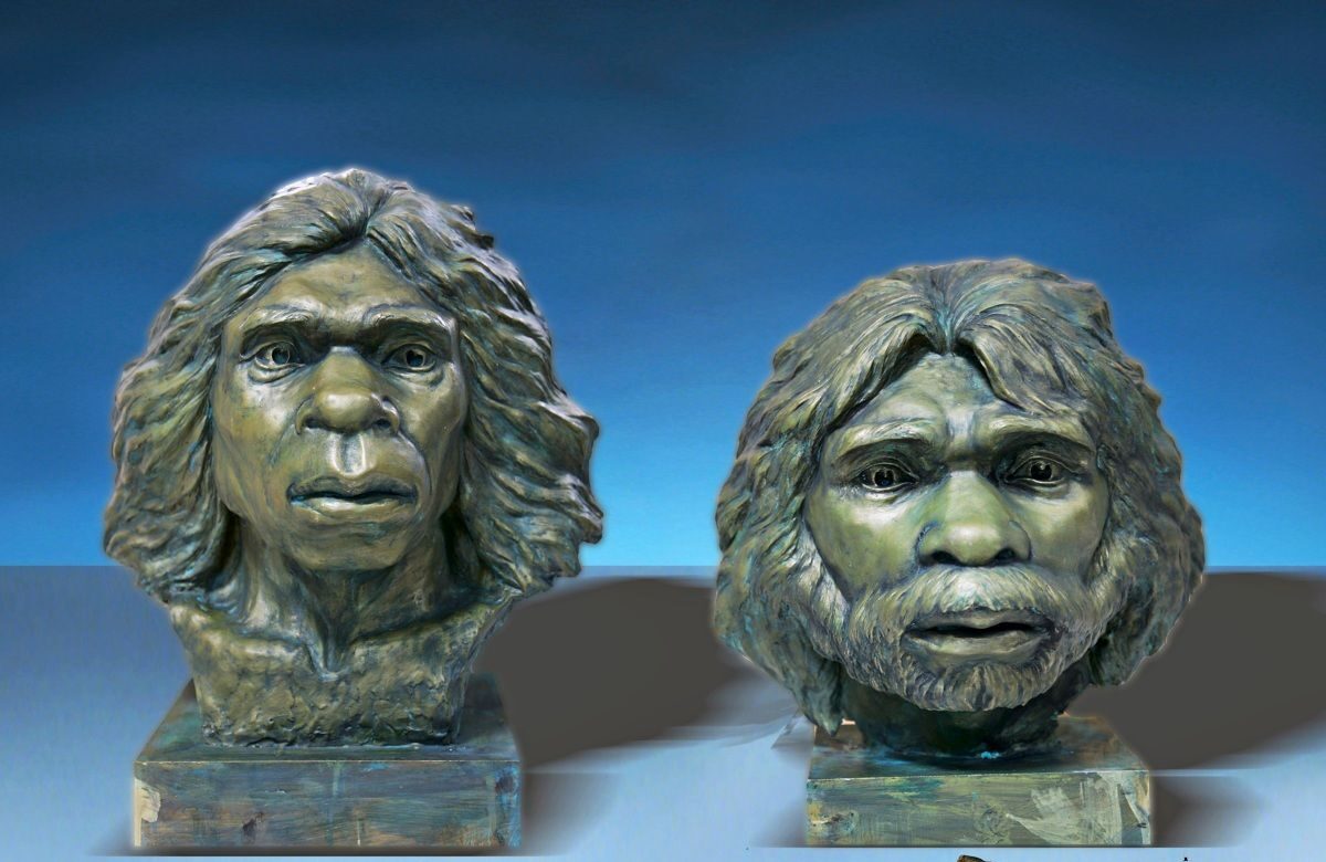 Reconstruction of the Yunxian hominins: The distorted skulls from central China may belong to Homo erectus. Credit: Xiaobo Feng.