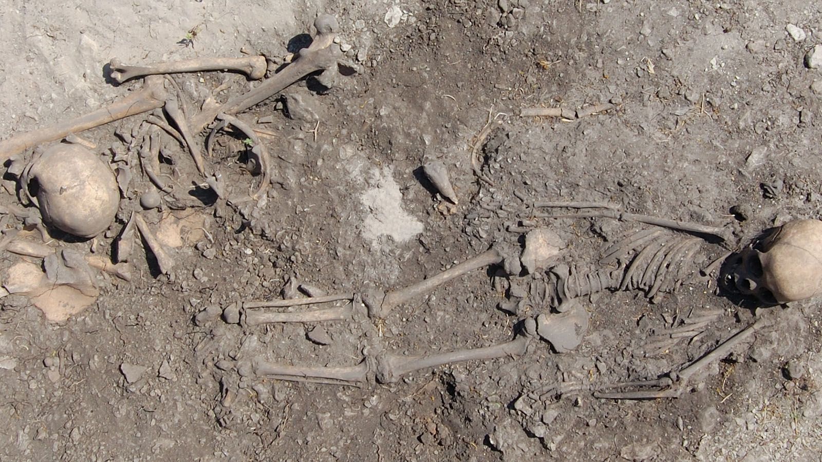 In the fourth grave, there was a girl and a young woman. The analysis showed that they were third-degree relatives. Credit: Johan Norderäng - Uppsala University