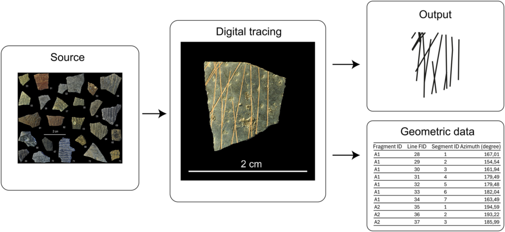 Example of tracing of a fragment (modified from Texier et al., Figs 8 and 3b), normalization of the engraved lines, and data extraction. Credit: Decembrini et al. (2026)
