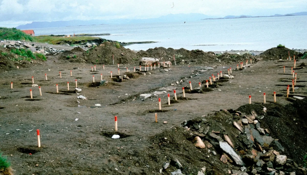 The pegs mark the post holes of two large boathouses on Rennesøy, north of Stavanger. Credit: Jan G. Auestad / Museum of Archaeology in Stavanger