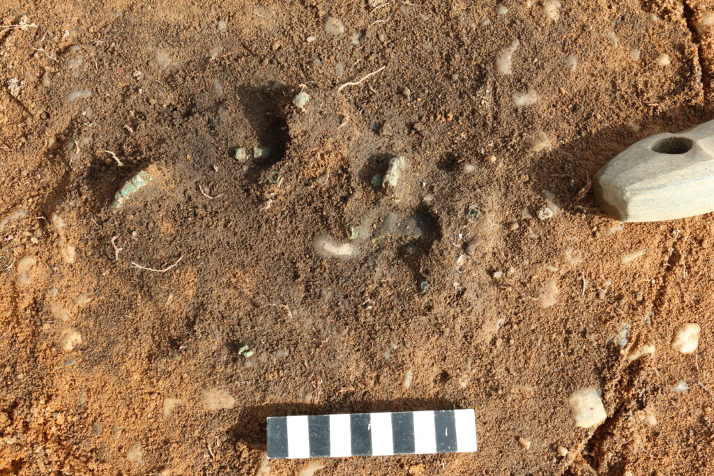 One grave yielded an especially rare find: nearly 20 copper beads, likely worn as a necklace. Credit: Landesamt für Archäologie Sachsen