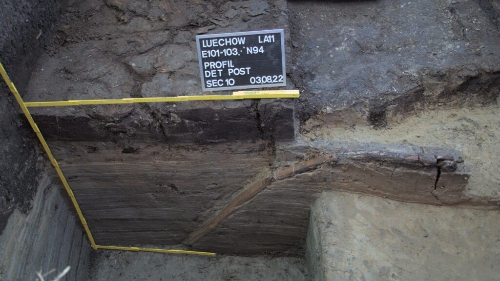 A large poplar wood post discovered in 2022 in the shallow-water area in front of the cremation burial, driven about one meter deep into the sediment with considerable force. Credit: LEIZA / Harald Lübke
