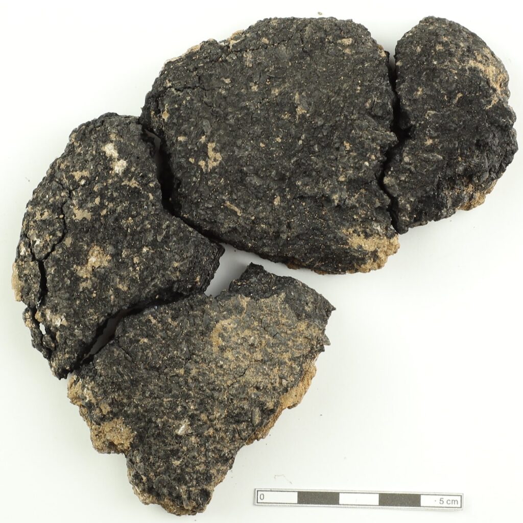 
5,000-year-old bread discovered at Küllüoba in Anatolia reveals one of the earliest known recipes and evidence of ritual food practices in the Early Bronze Age. Credit: Kavak et al. (2026)