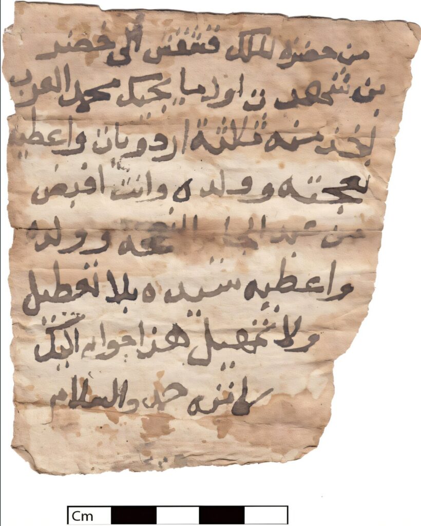 King's order (Side A) Credit: M. Rekłajtis/PCMA in Barański et al. 2026