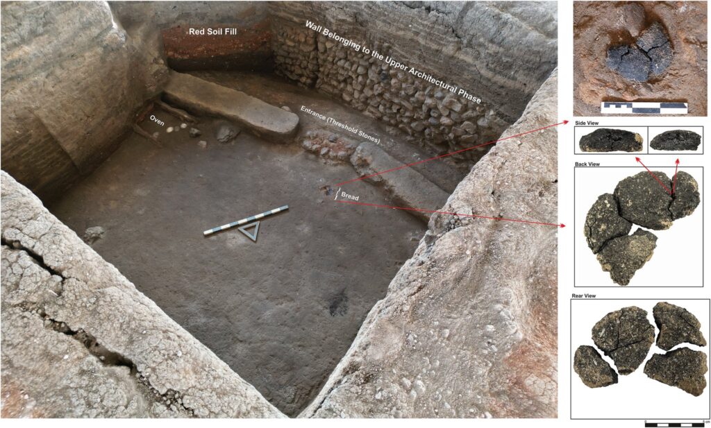 The bread, dating to approximately 3000 BCE, was discovered intact near the entrance of a structure during excavations at Küllüoba. Credit: Kavak et al. (2026)