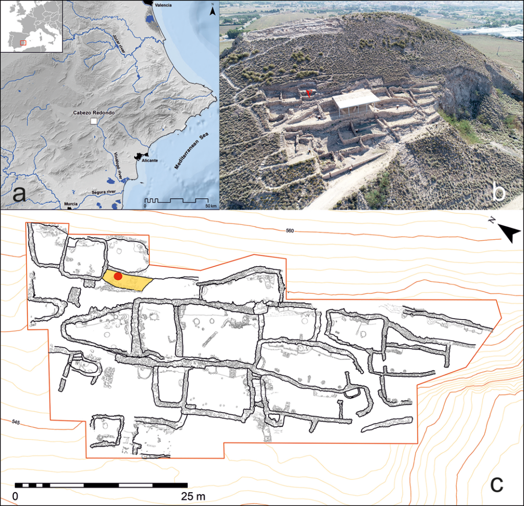 Location of Cabezo Redondo: a & b) aerial views; c) plan of the site. The red arrow and dot indicate the location of the raised platform on which the loom was documented (figure by authors). Credit: Basso Rial RE 2026, Antiquity.