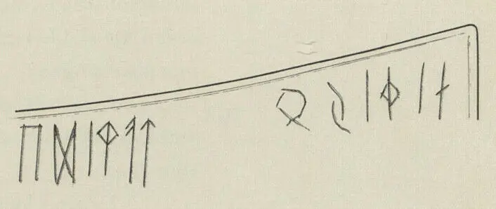 “NITHIJO TAWIDE” (“Nithijo made [this]”) is carved on a shield handle from Illerup Ådal—considered the oldest known runic sentence. Credit: Preben Delholm / Moesgård Museum