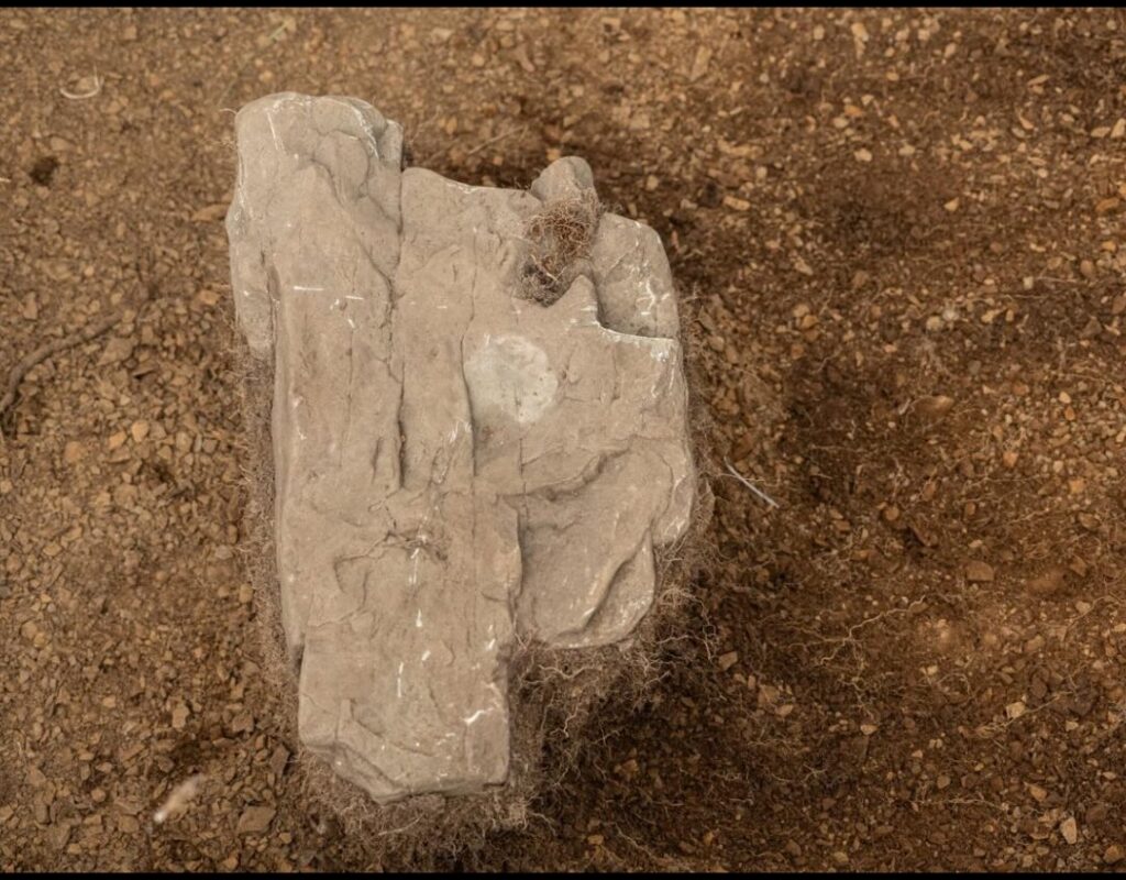 Stone of the church where the coin was found. Credit: Centro de Estudios Históricos y Humanidades via Facebook