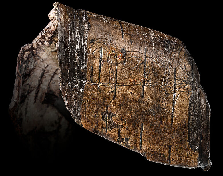 A rare grave discovery: a stallion depicted using incision and dot techniques on a strip of birch bark. Credit: State Office for Monument Preservation (LAD) at the Regierungspräsidium Stuttgart