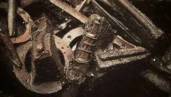 Some of the objects as they were found in the bog. Credit: Jørgen Ilkjær / Moesgård Museum