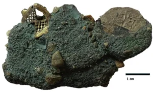 Off Cape Cod, a Pirate Shipwreck Reveals the True Nature of African Gold