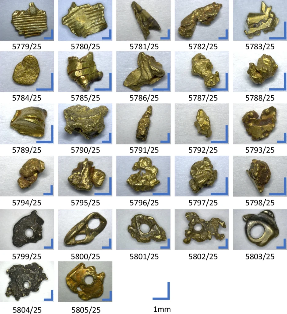 All samples analyzed in this study. Credit: T.B. Skowronek et al. 2026, npj Herit. Sci.
