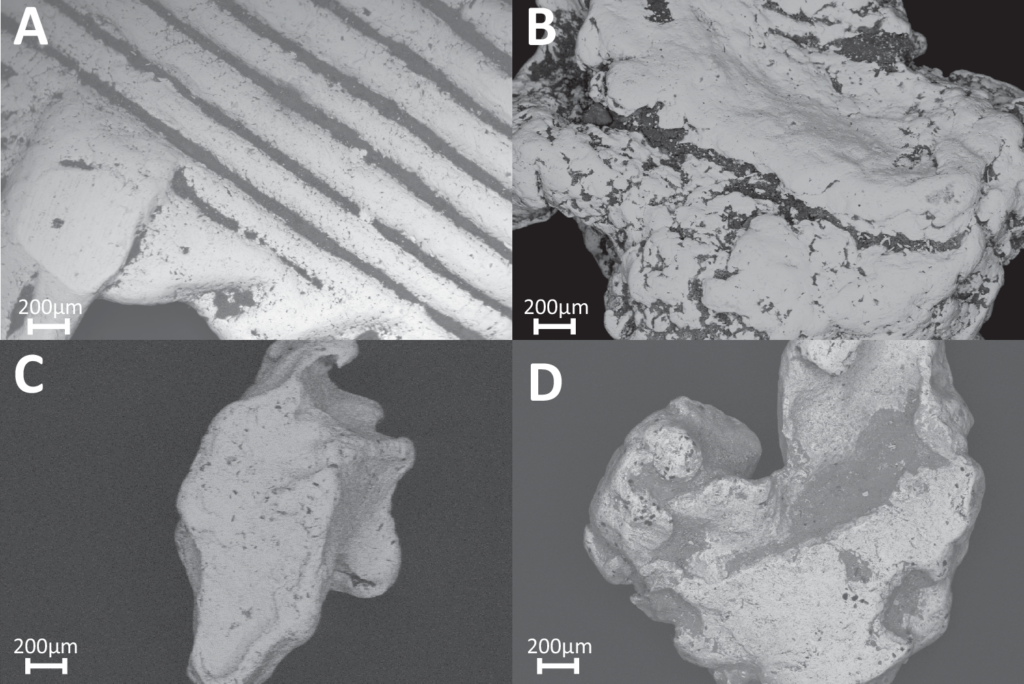 BSD images produced using Scanning Electron Microscopy. Four samples are shown: A = 5779/25 (cast), B = 5790/25 (nugget), C = 5792/25 (nugget), D = 5793/25(nugget). They all show dark patches in depressions, crevices, and cracks. Note threadwork in casting fragment in the upper left and notable flattening of the nuggets at bottom. Credit: T.B. Skowronek et al. 2026, npj Herit. Sci.