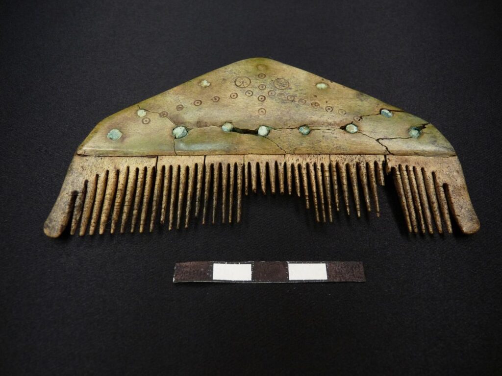 Bone comb from the 4th–5th century CE, decorated with bronze rivets. Credit: T. Uhlig, Lower Saxony State Office for Heritage