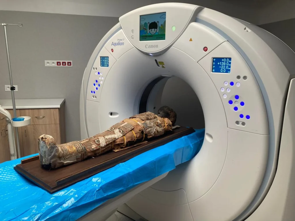 Credit:  Marzena Ożarek-Szilke - University of Wrocław