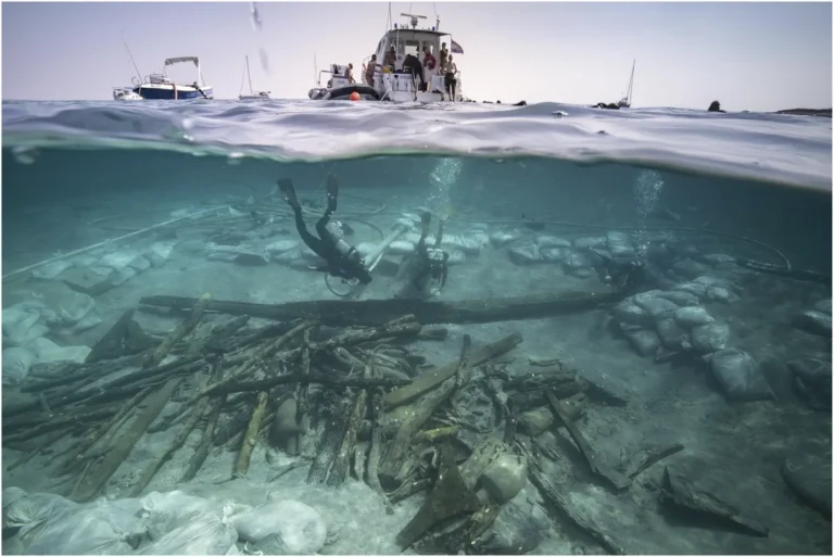 View of the excavation of the bow area of the Ilovik-Paržine 1 shipwreck. In the foreground, the cargo of logs and amphoras can be seen. Archaeologists are working near the structure of the bow complex (Adriboats © L. Damelet, CNRS/CCJ).