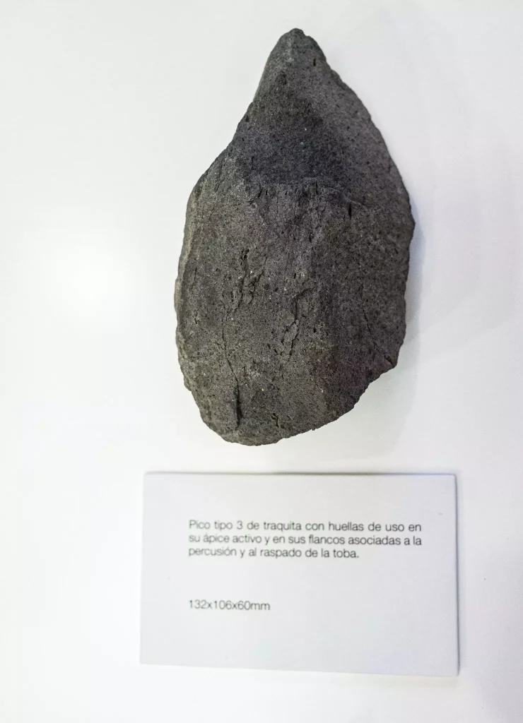 One of the lithic tools bearing use-wear traces associated with cereal harvesting. Credit: Brito-Abrante et al., 2026