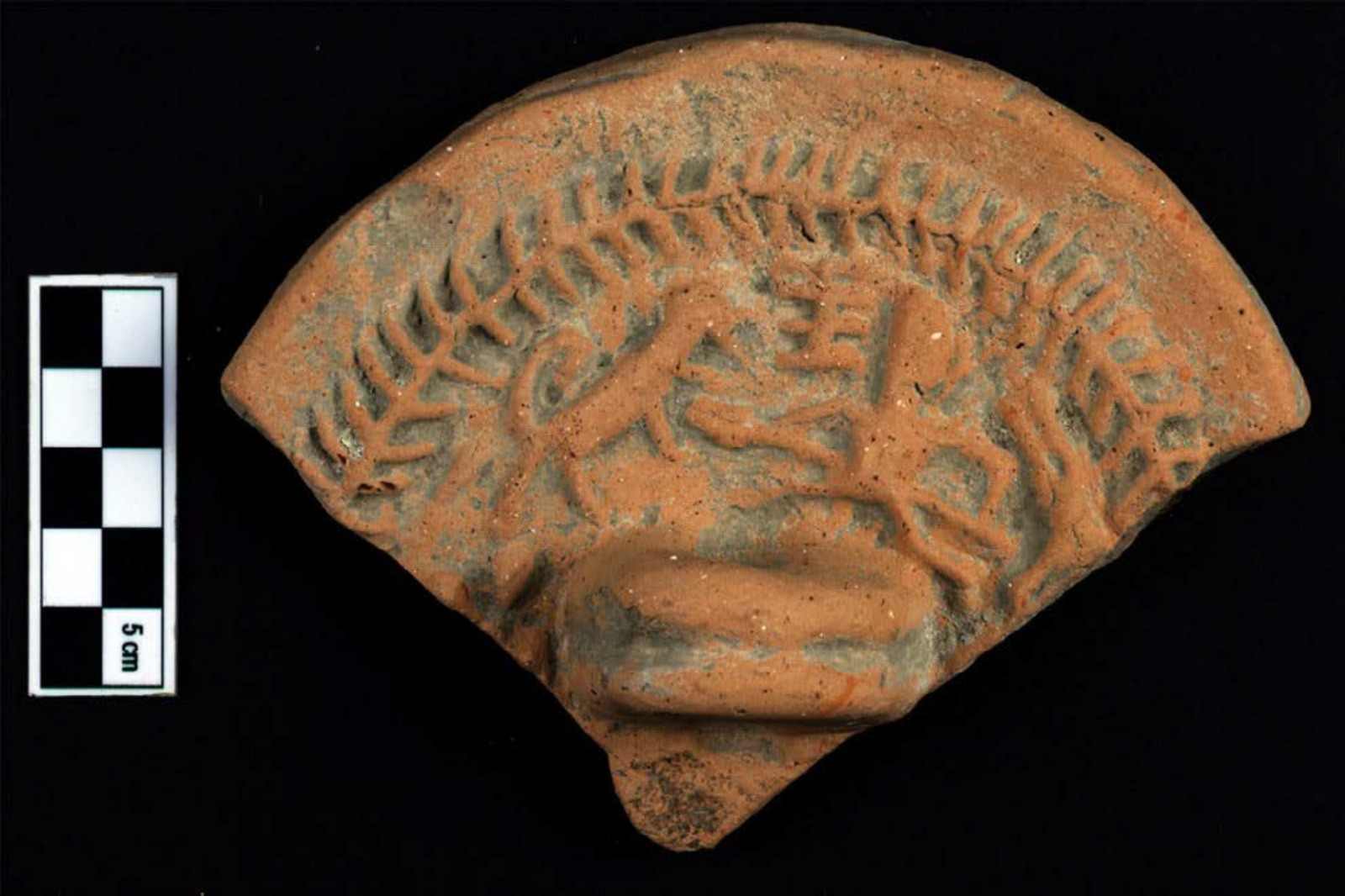 “Gates of Death” Unearthed in Perge: How a Roman Stadium Became an ...