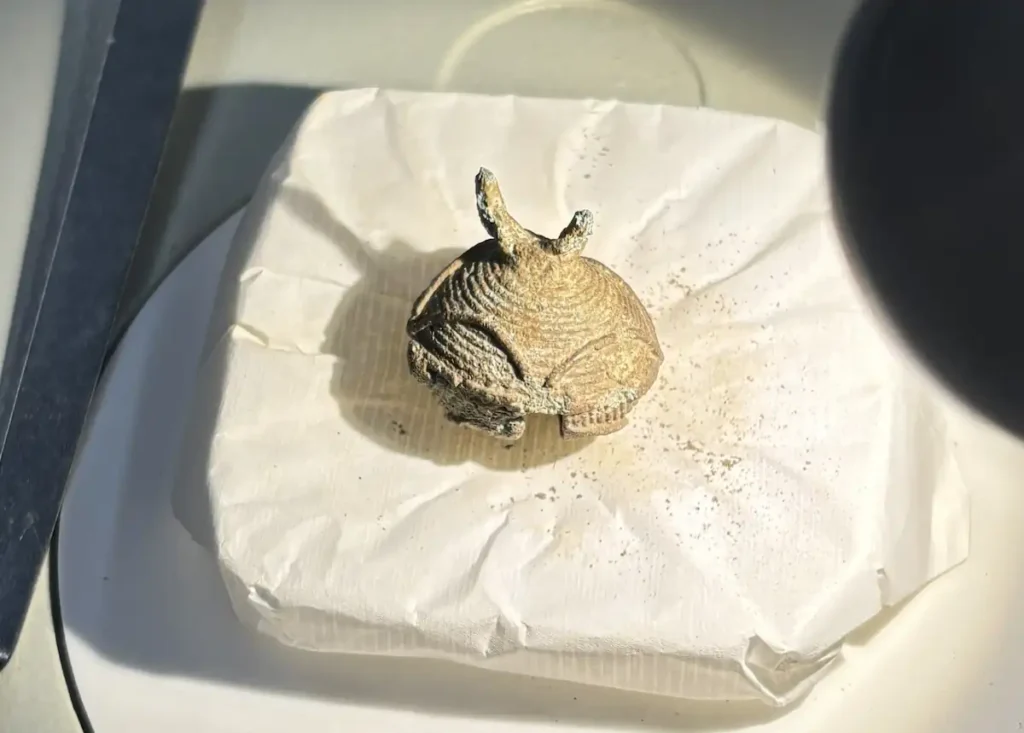 
Restored bronze-alloy bell. Credit: Robert Cripps Institute for Cultural Conservation