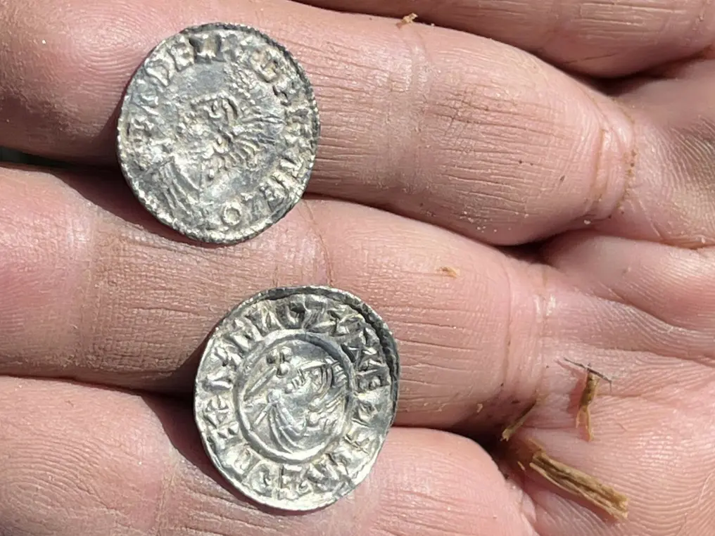 
Two of the silver coins from the hoard, with a king's head in profile.  Credit: Anne Engesveen / Innlandet County Municipality