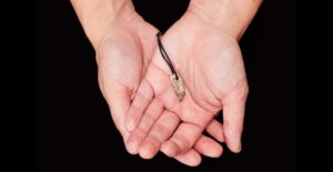 15,000-Year-Old Seal Tooth Pendant Discovered in England Reveals Ancient Trade Networks and Creativity