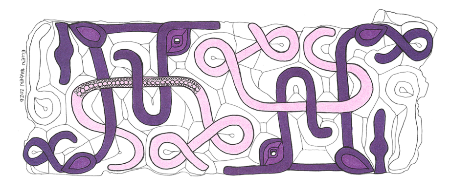 Drawing of the decoration in the main field of the Austrått fitting. The animal figure is shown in violet, while the interlaced band has been marked in pink. Illustration: Ellen Hagen, Archaeological Museum, University of Stavanger.