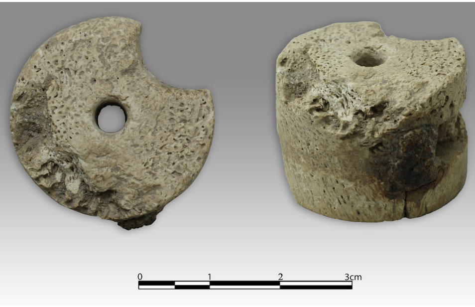 Bone charkh (crossbow) nut from the Kubadabad Palace excavations, identified as the first known crossbow nut recovered from a Medieval Anatolian archaeological context. Credit: Çeken, M., Yavaş, A., & Meriç, G. (2026)