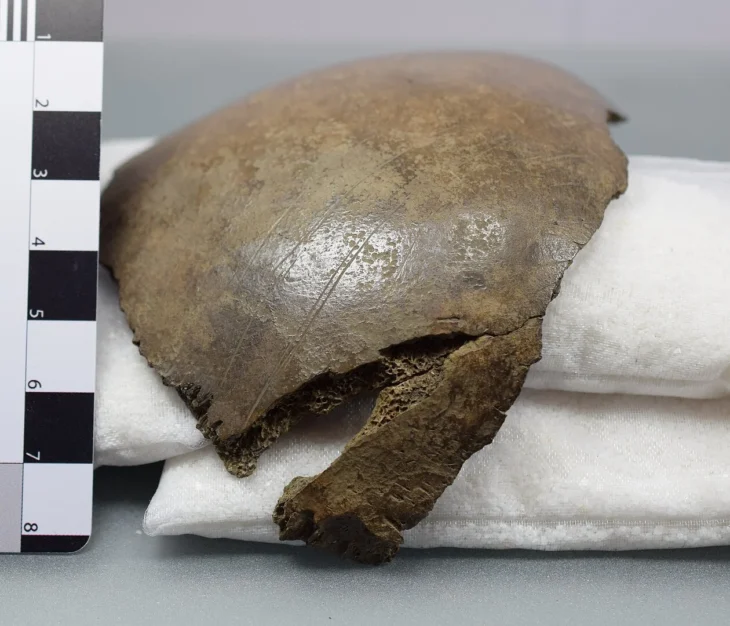 Credit: Cut-Marked Human Bones in Denmark. ©J. Hochholzer - University of Kiel