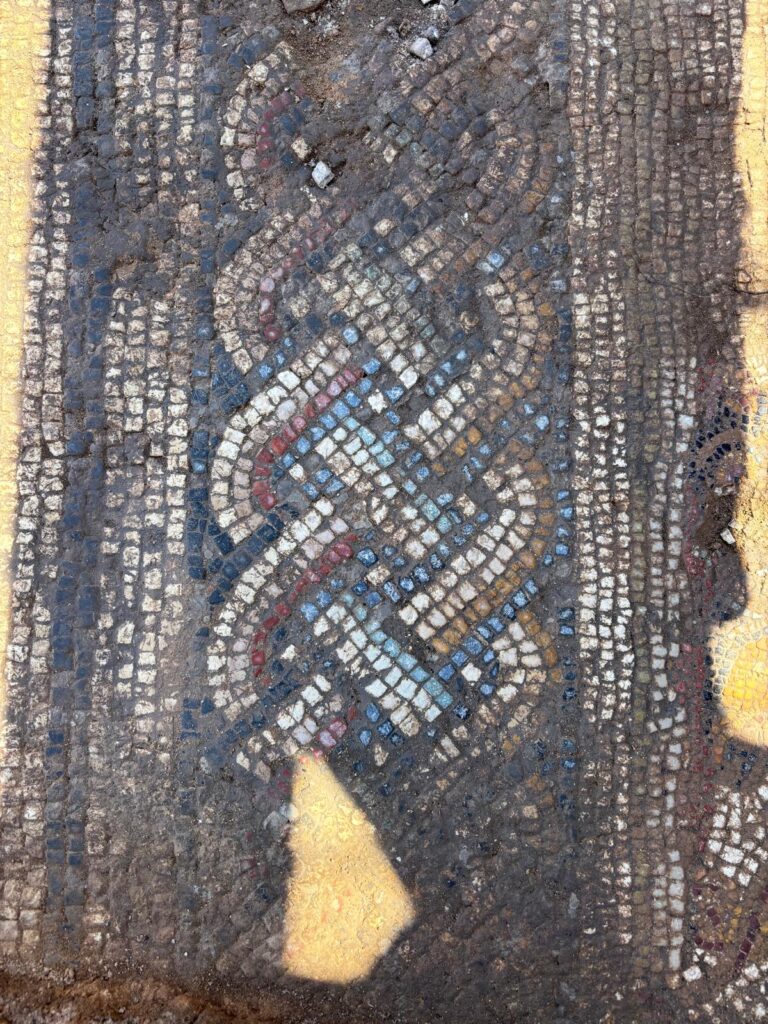 Detail of the mosaic’s decorative border. Credit: Parco Archeologico di Lilibeo-Marsala / Regione Siciliana