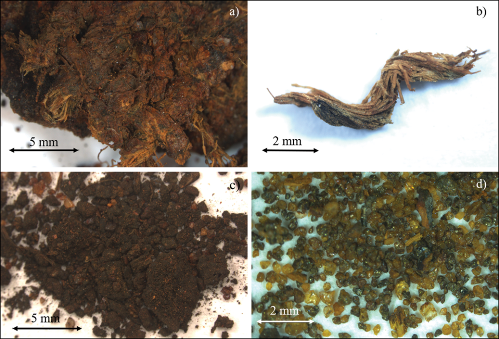 Microphotographs of the collected samples: a) textile from the helmet interior (M1); b) fibre with Z-twist (M3); c) metallic corrosion products (M7); d) adhered marine sediment (M8) (figure by C. Álvarez-Romero). Credit: Frallicciardi M, et. al., 2026