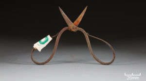 A Deadly Poison on Ming Dynasty Tools May Be the Oldest Direct Evidence of Surgical Anesthesia