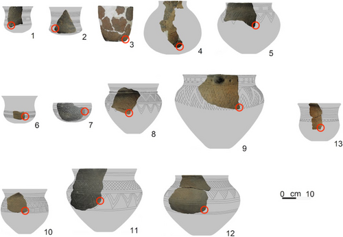 Pottery with marked sampling spots for chemical analyses. Credit: Manasterski, D., et al., 2026