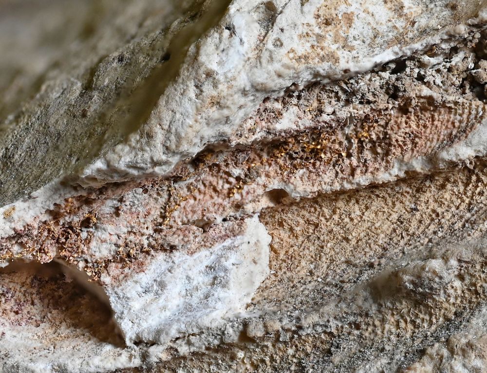 Purple dye residues with a pinkish hue and gold threads visible in the infant burial in York (YORYM : 2007.6212). Credit: University of York