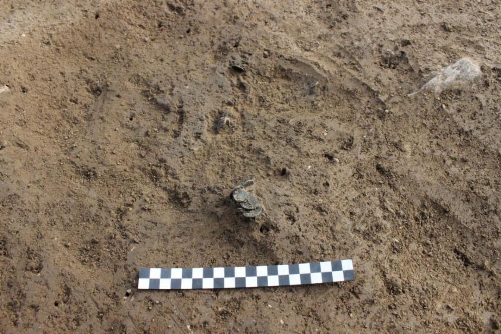 The moment Roman coins were discovered at the Mohovo site. Credit: Institute of Archaeology in Zagreb