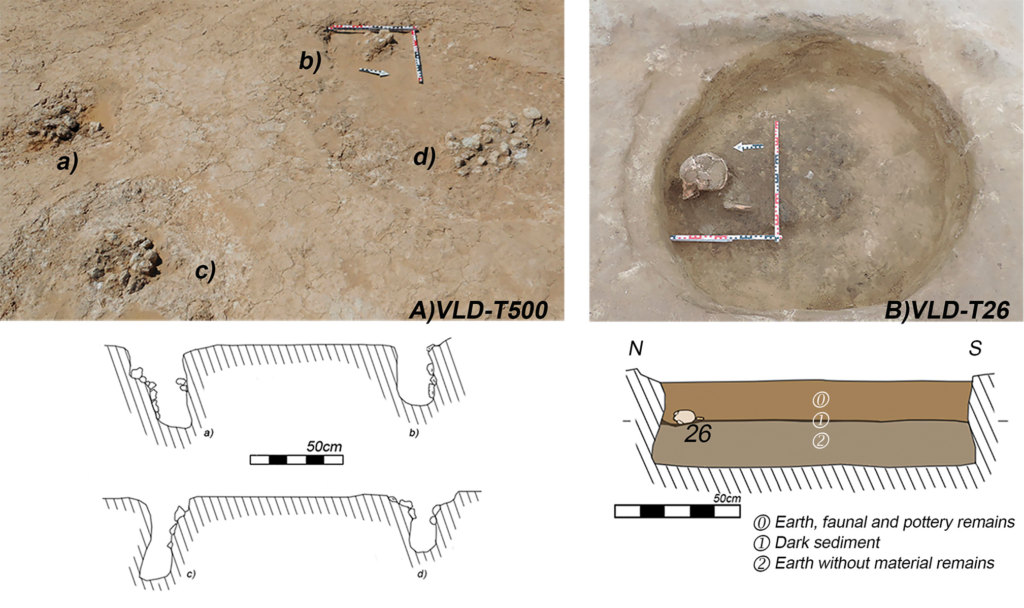 (A) Photograph of VLD-T500 and drawing of the section of each post-hole; (B) photograph of the skull and faunal remain found in VLD-T26 and section drawing of the structure. Credit: R. Barroso Bermejo et al. 2026, Cambridge Archaeological Journal