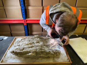 Rare Roman Britain Find: Babies in York Were Buried in Imperial Purple Cloth