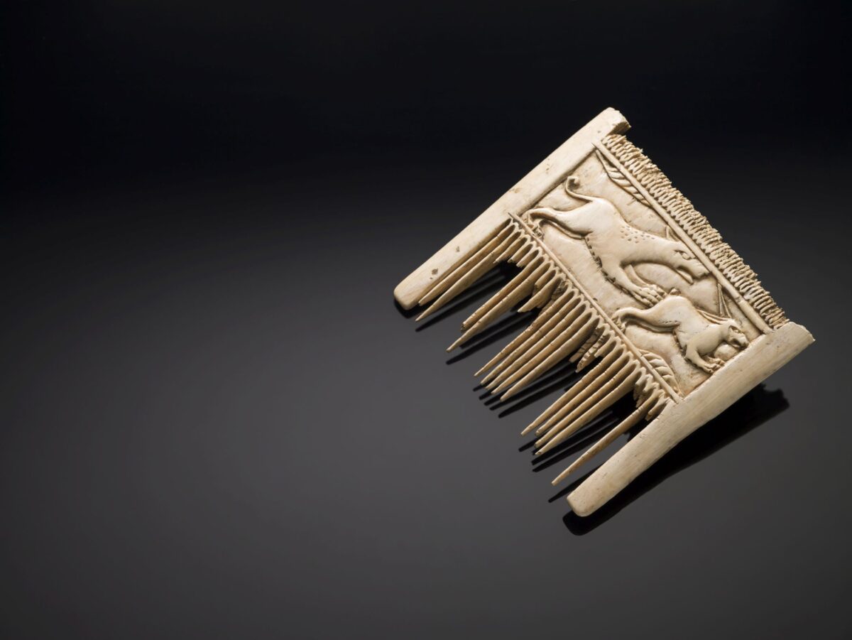 Luxury, Hunting, and Gold: Rare Medieval Ivory Comb Reveals the World of Westphalian Nobles - Arkeonews
