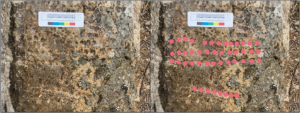 9th-Century Game Board in Moroccan Hammam May Be North Africa’s Earliest Tab/Sig Evidence