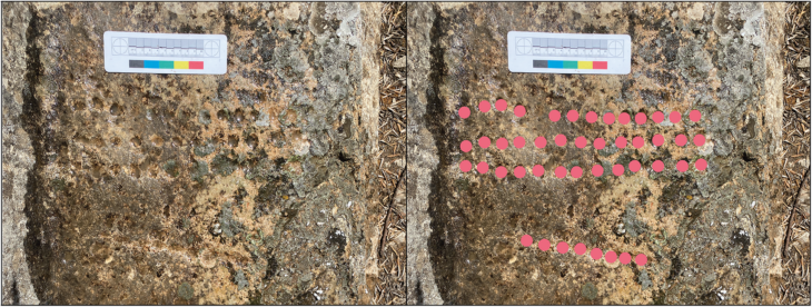 The gameboard in the hammam at Walīla (left), with mark-up showing position of holes (right) (INSAP-UCL Volubilis Archaeological Project). Credit: Penn, T., et.al., 2026