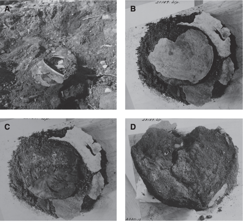 Pictures from ATA of the excavation of the cauldron and the underlying hide fragments. A) The rim of the cauldron and mounts in situ. B) Bottom and sides of the cauldron during excavation in the laboratory. C) The bottom of the cauldron is removed. The larger fragment of hide is visible in the lower part of the cauldron. D) The wooden tray under the hide and cauldron. Photos by SHM in Antikvariskt Topografiskt Arkiv, ATA. Credit: Eriksson et al., 2026