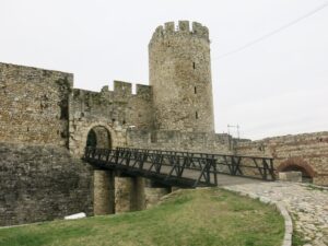 First Medieval Camel Bones from Belgrade Fortress Reveal an Unusual Balkan Discovery